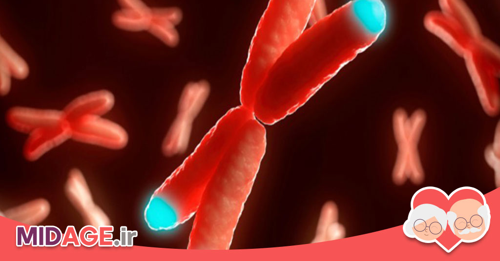 مسیرهای مولکولی سیگنالینگ طول عمر: کلید درک فرآیند پیری و افزایش کیفیت زندگی