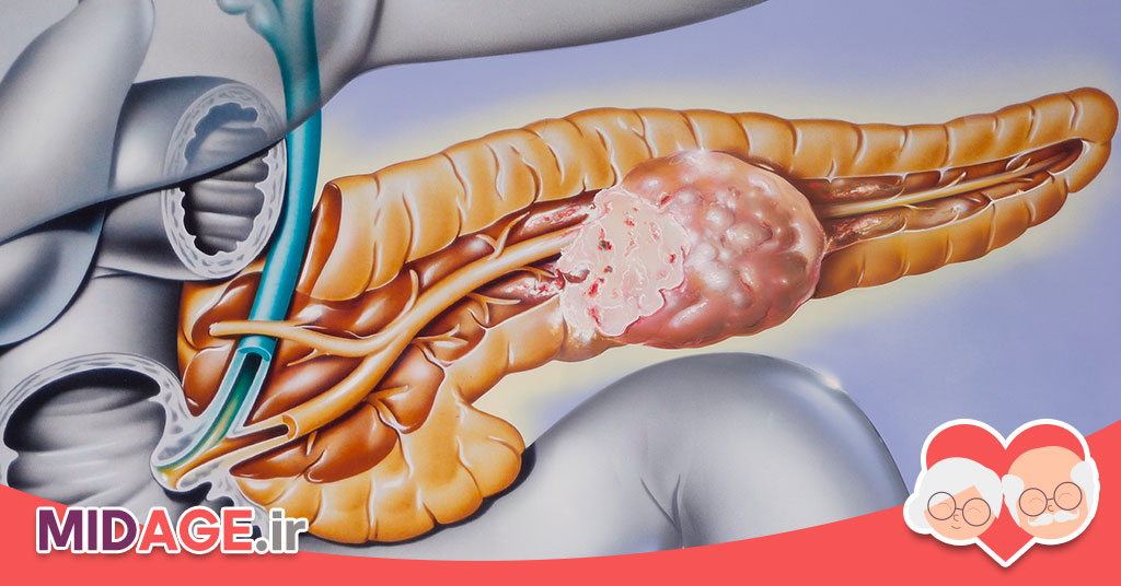 تنظیم نورواندوکرین فرآیند پیری تنظیم نورواندوکرین فرآیند پیری