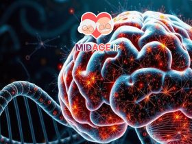 اختلال سیناپسی در مغز سالمند: بررسی عوامل، پیامدها و راهکارها