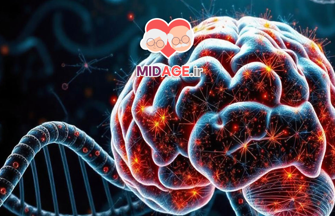 اختلال سیناپسی در مغز سالمند: بررسی عوامل، پیامدها و راهکارها