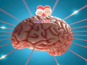 نقش آتروفی هیپوکامپ در اختلال حافظه