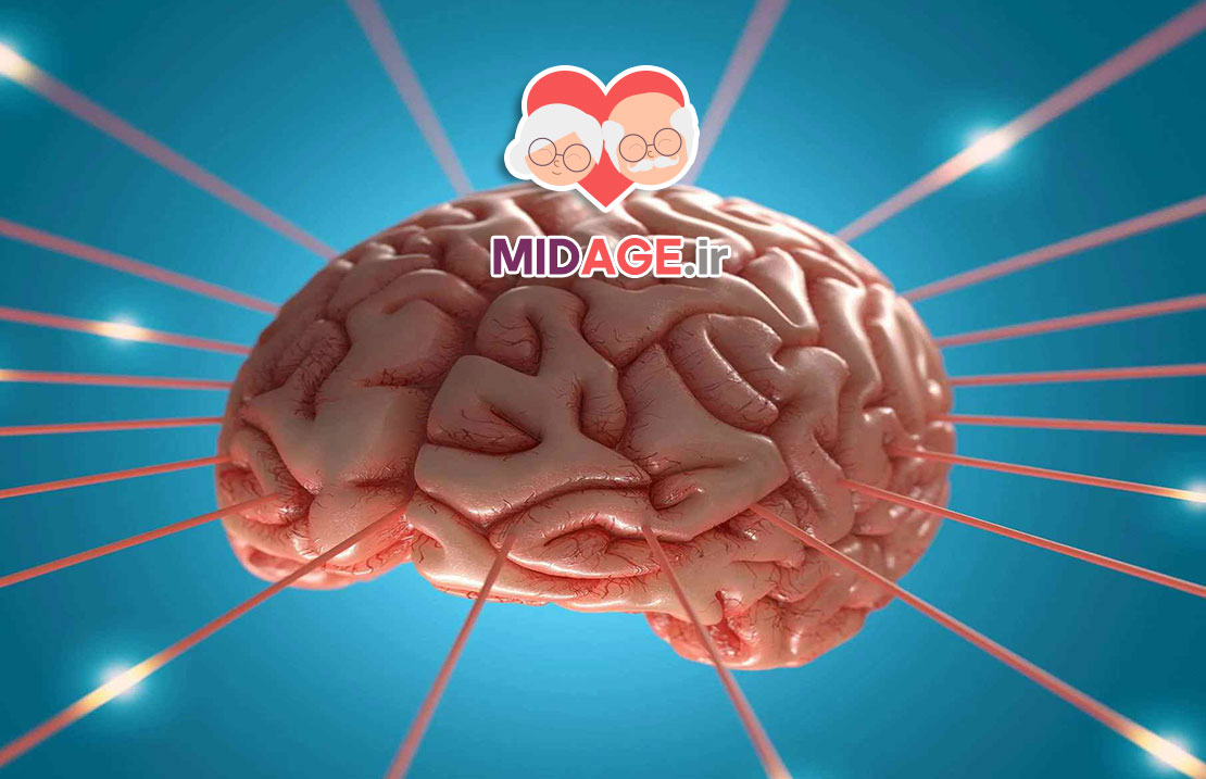 نقش آتروفی هیپوکامپ در اختلال حافظه