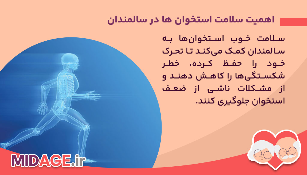 سلامت استخوان ها در سالمندان+4 عامل شگفت آور اهمیت سلامت استخوان ها در سالمندان