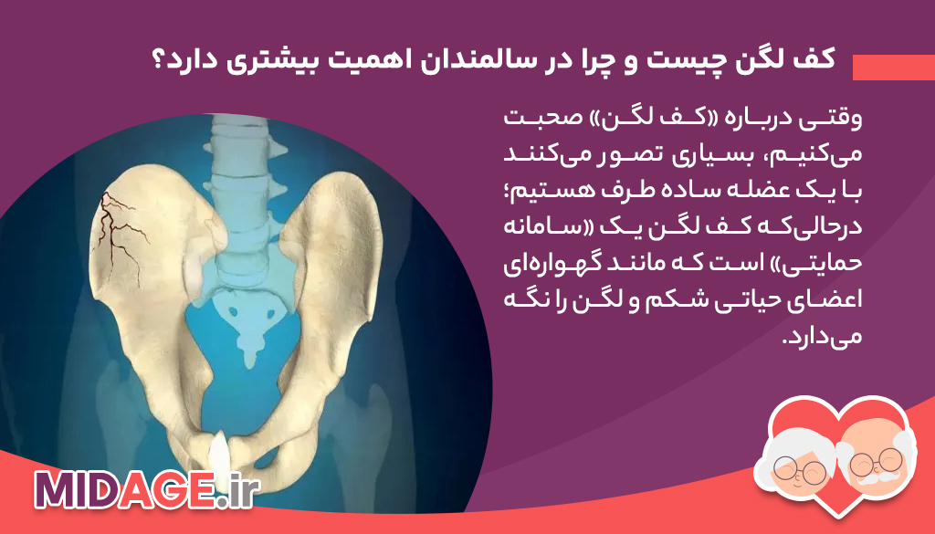 سلامت کف لگن در سالمندان؛ مشکلات شایع و نقش فیزیوتراپی در بهبود کیفیت زندگی کف لگن چیست و چرا در سالمندان اهمیت بیشتری دارد؟