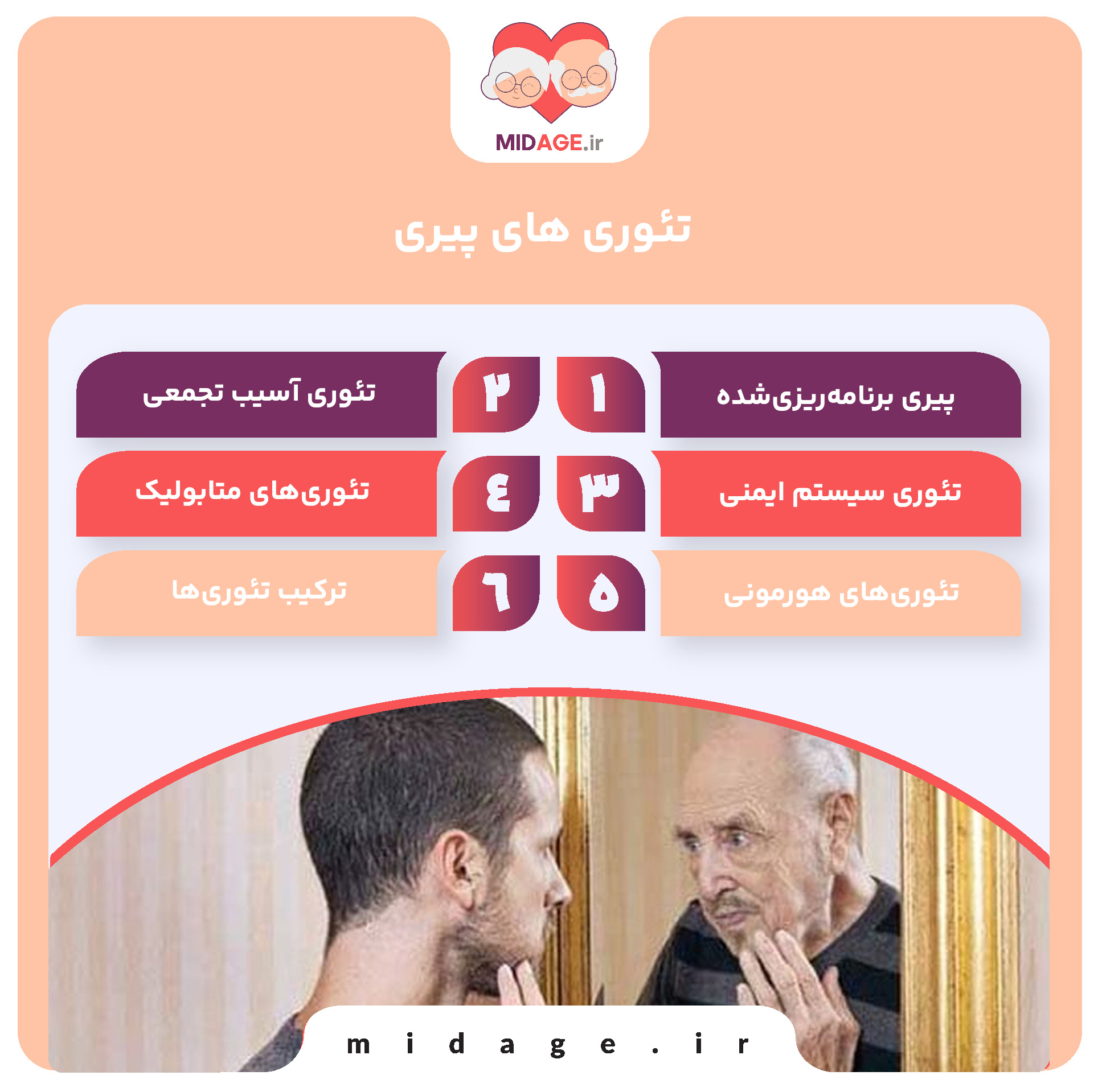 تئوری های پیری؛ راز دیرینهی فرسودگی بدن انسان تئوری های پیری