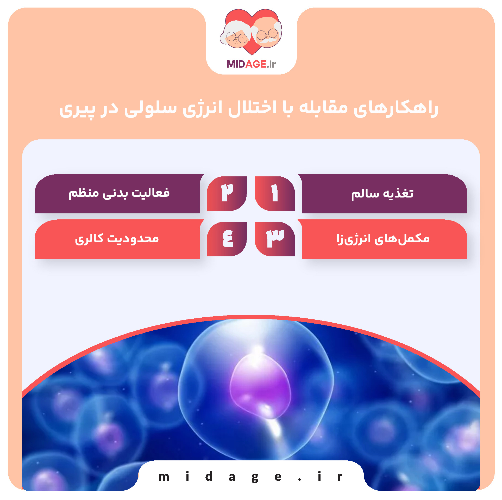 راهکارهای مقابله با اختلال انرژی سلولی در پیری