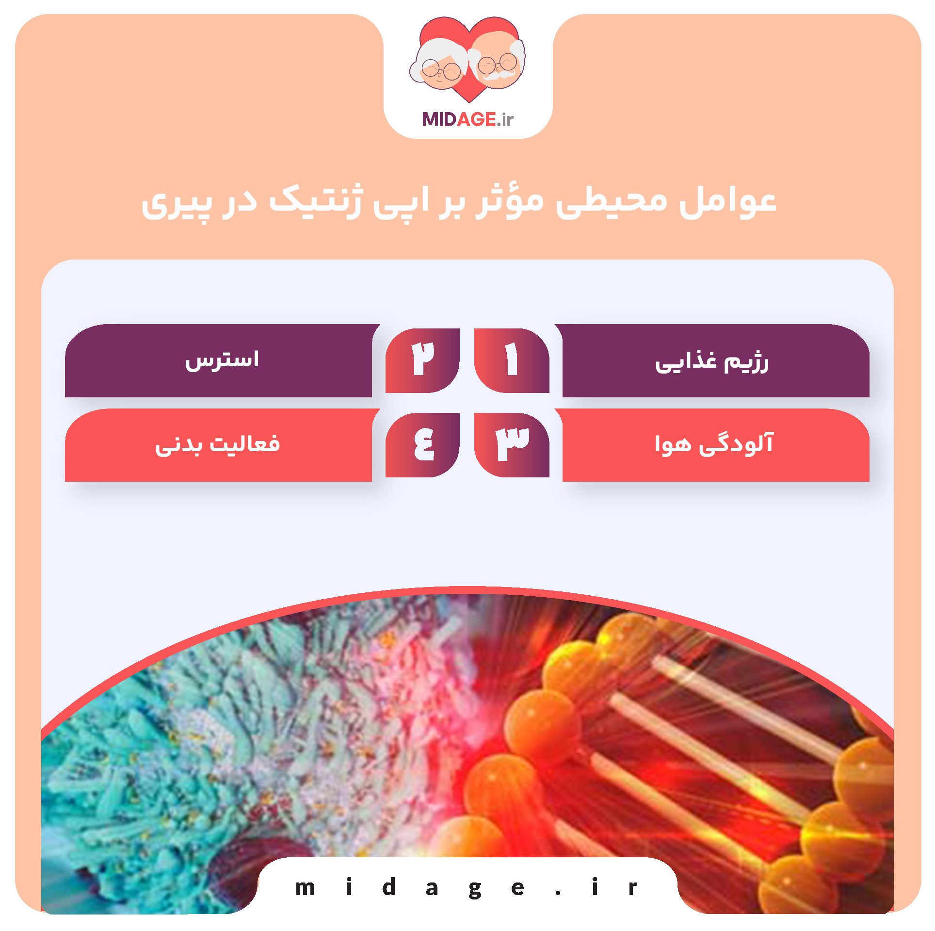 اپی ژنتیک در پیری: مکانیسمها، عوامل و چشماندازهای درمانی عوامل محیطی مؤثر بر اپی ژنتیک در پیری