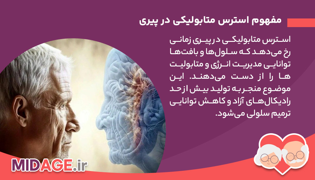 مفهوم استرس متابولیکی در پیری