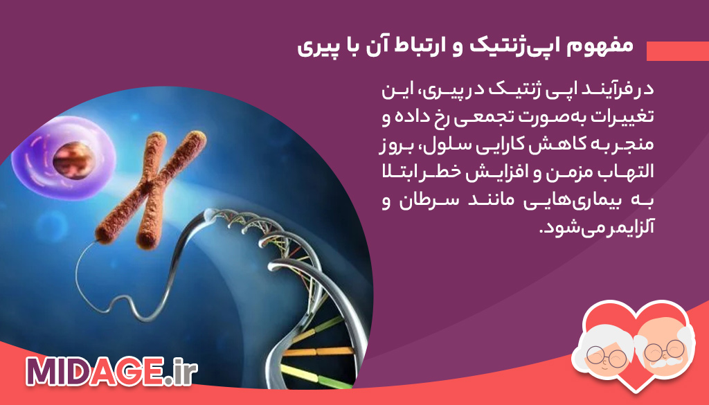 مفهوم اپی‌ژنتیک و ارتباط آن با پیری