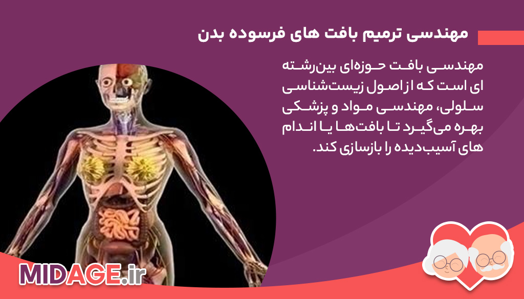 معرفی مهندسی بافت و اهمیت آن در فرسودگی