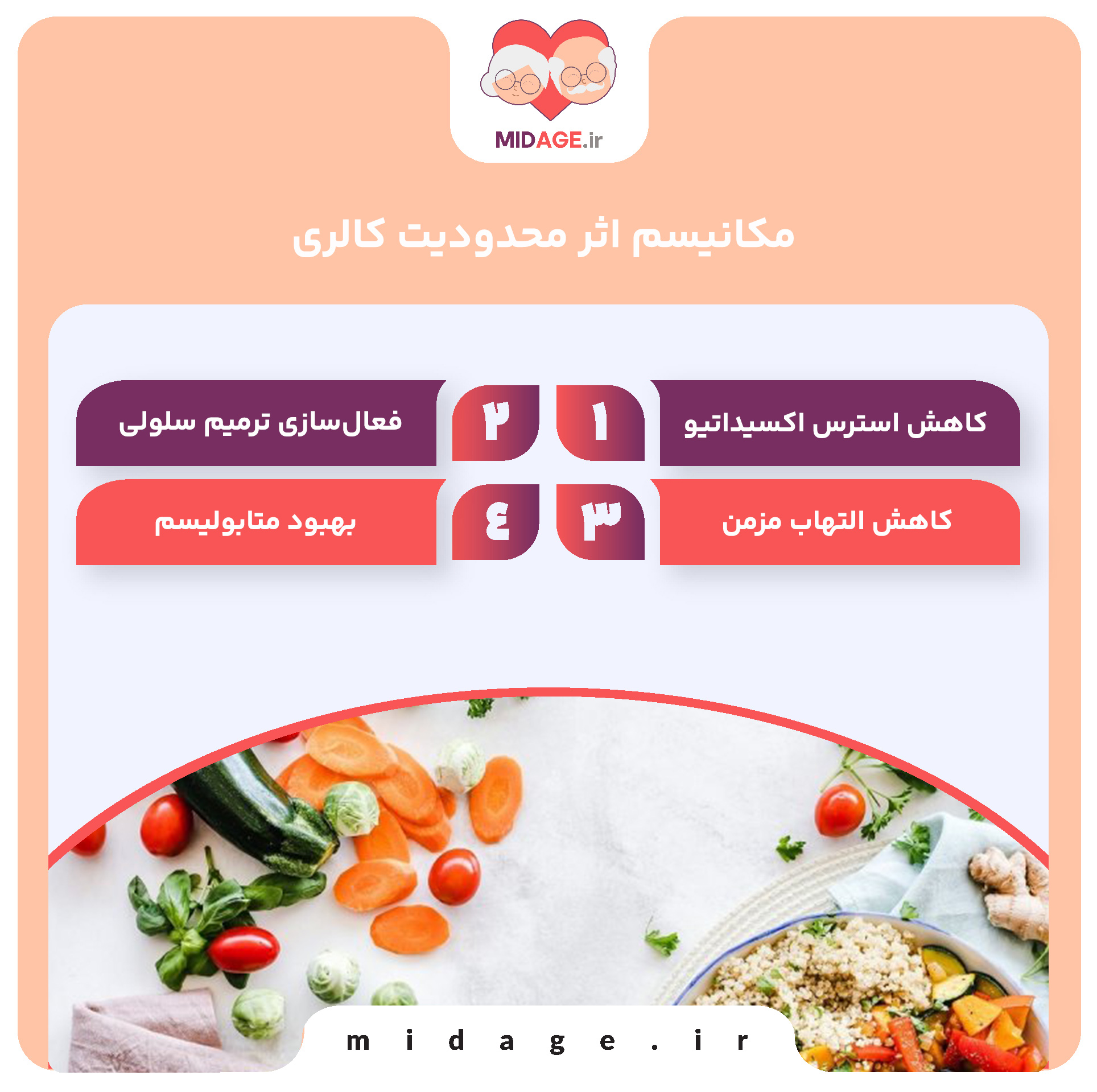 مکانیسم اثر محدودیت کالری