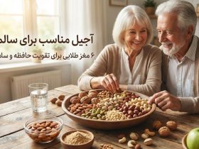 آجیل مناسب برای سالمندان؛ 6 مغز طلایی برای تقویت حافظه و سلامت قلب + نحوه مصرف آجیل مناسب برای سالمندان؛ 6 مغز طلایی برای تقویت حافظه و سلامت قلب + نحوه مصرف