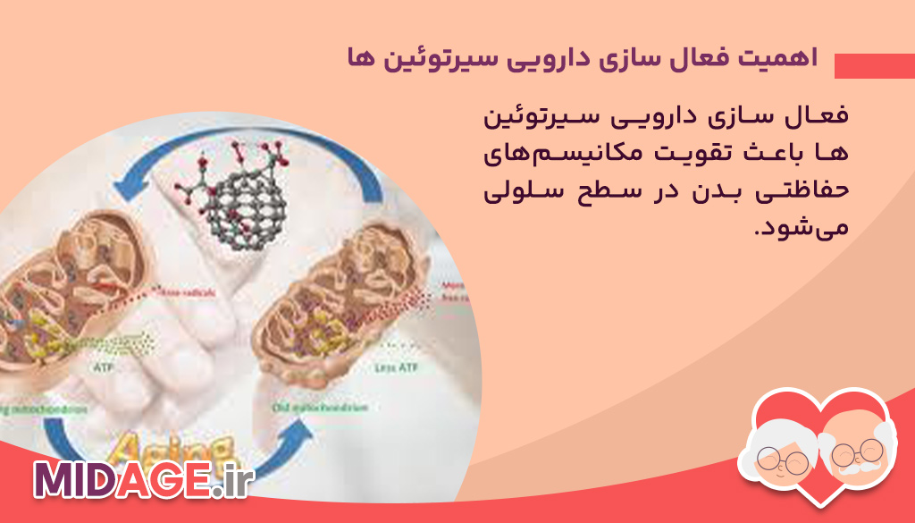 فعال سازی دارویی سیرتوئین ها: کلید سلامت و طول عمر اهمیت فعال سازی دارویی سیرتوئین ها