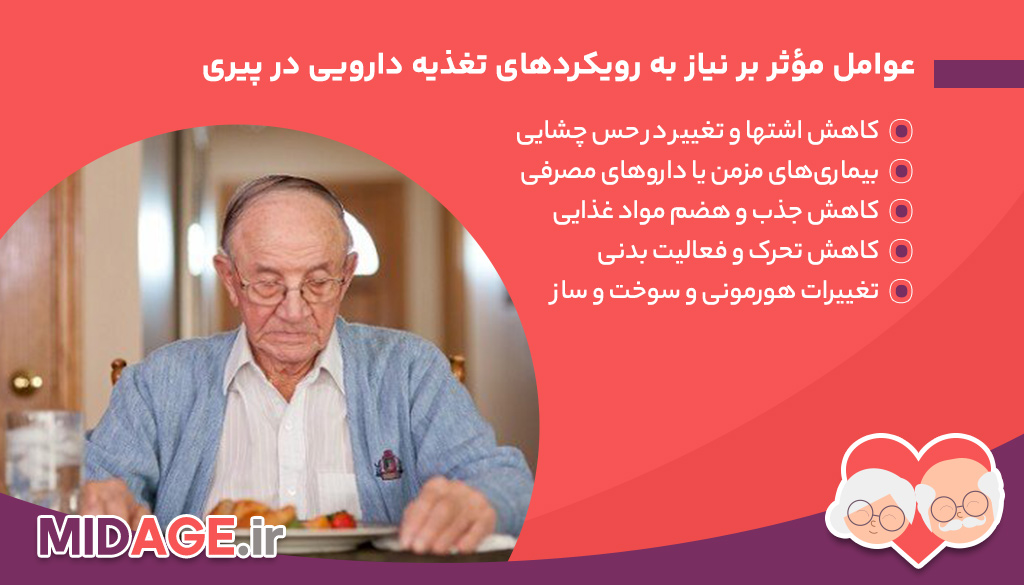 عوامل-مؤثر-بر-نیاز-به-رویکردهای-تغذیه-دارویی-در-پیری