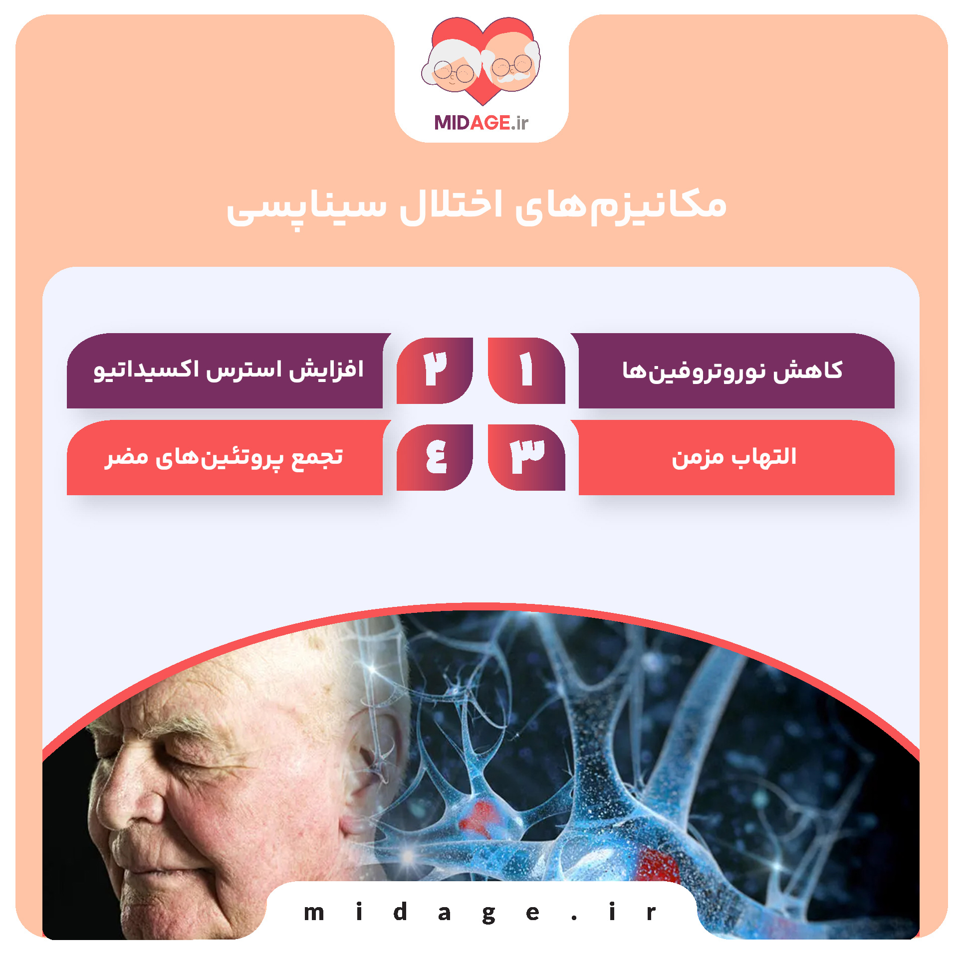 مکانیزم‌های اختلال سیناپسی