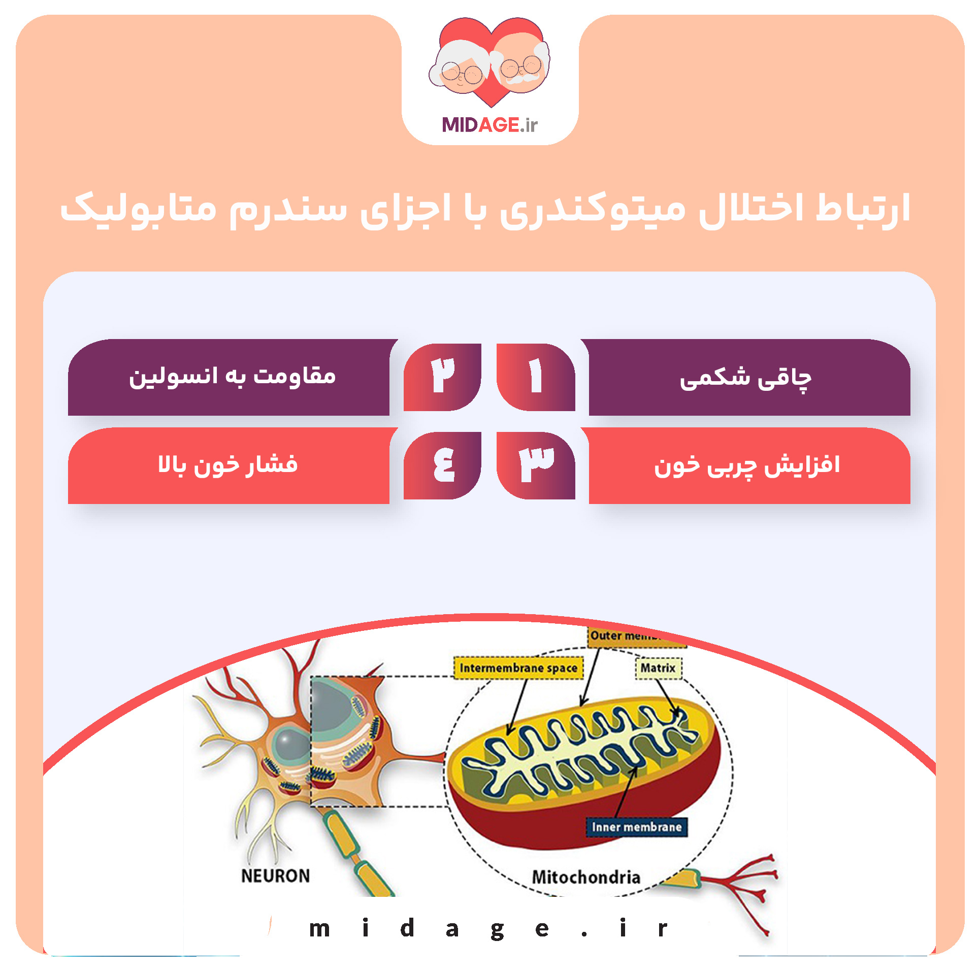 اختلال میتوکندری در سندرم متابولیک در میانسالی ارتباط اختلال میتوکندری با اجزای سندرم متابولیک