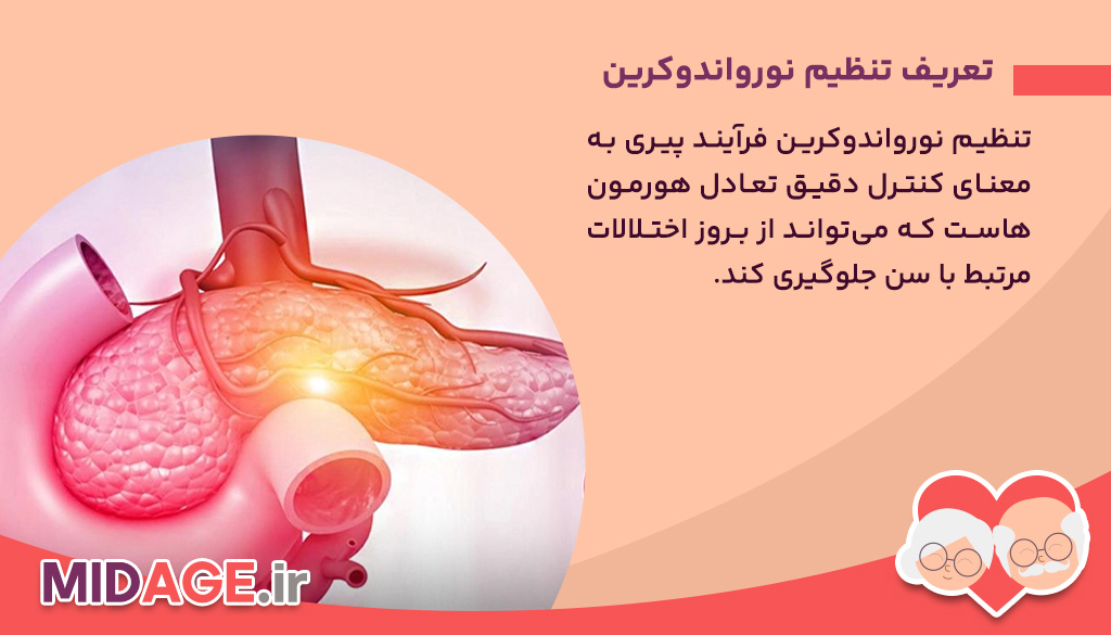 تنظیم نورواندوکرین فرآیند پیری تعریف تنظیم نورواندوکرین