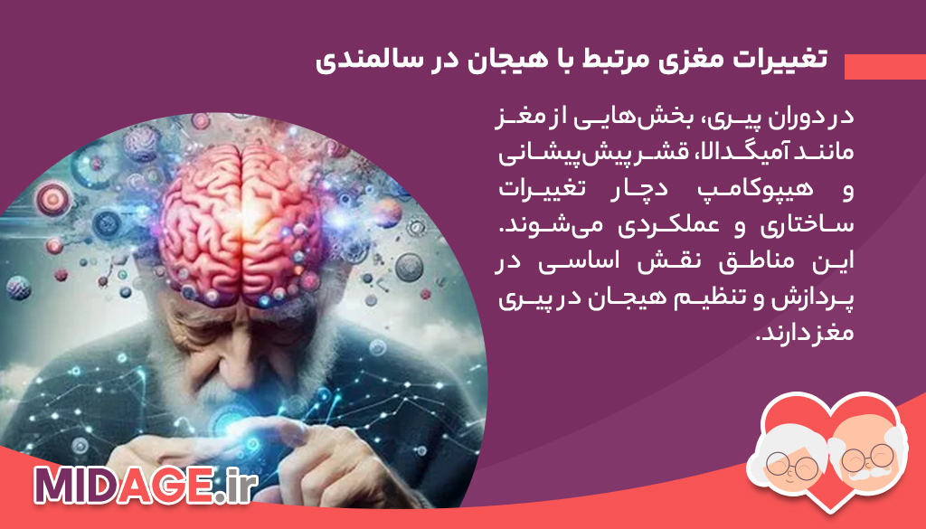 تغییرات مغزی مرتبط با هیجان در سالمندی