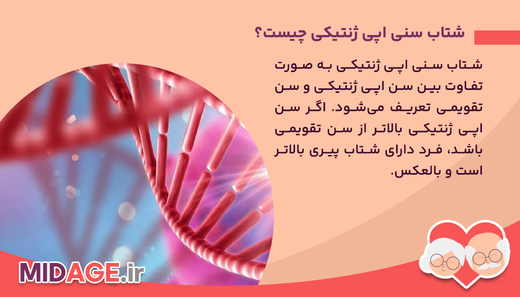 تعریف و اهمیت شتاب سنی اپی ژنتیکی