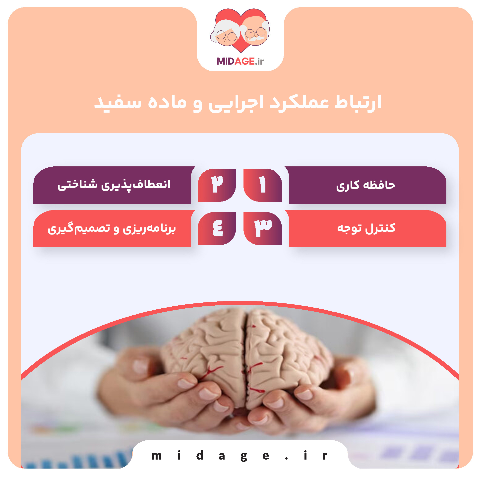 یکپارچگی ماده سفید در عملکرد اجرایی در پیری عملکرد اجرایی و ماده سفید