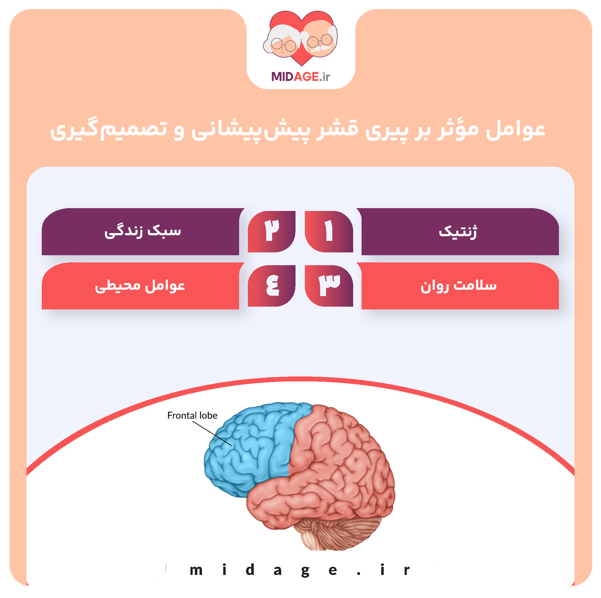 عوامل مؤثر بر پیری قشر پیش‌پیشانی و تصمیم‌گیری