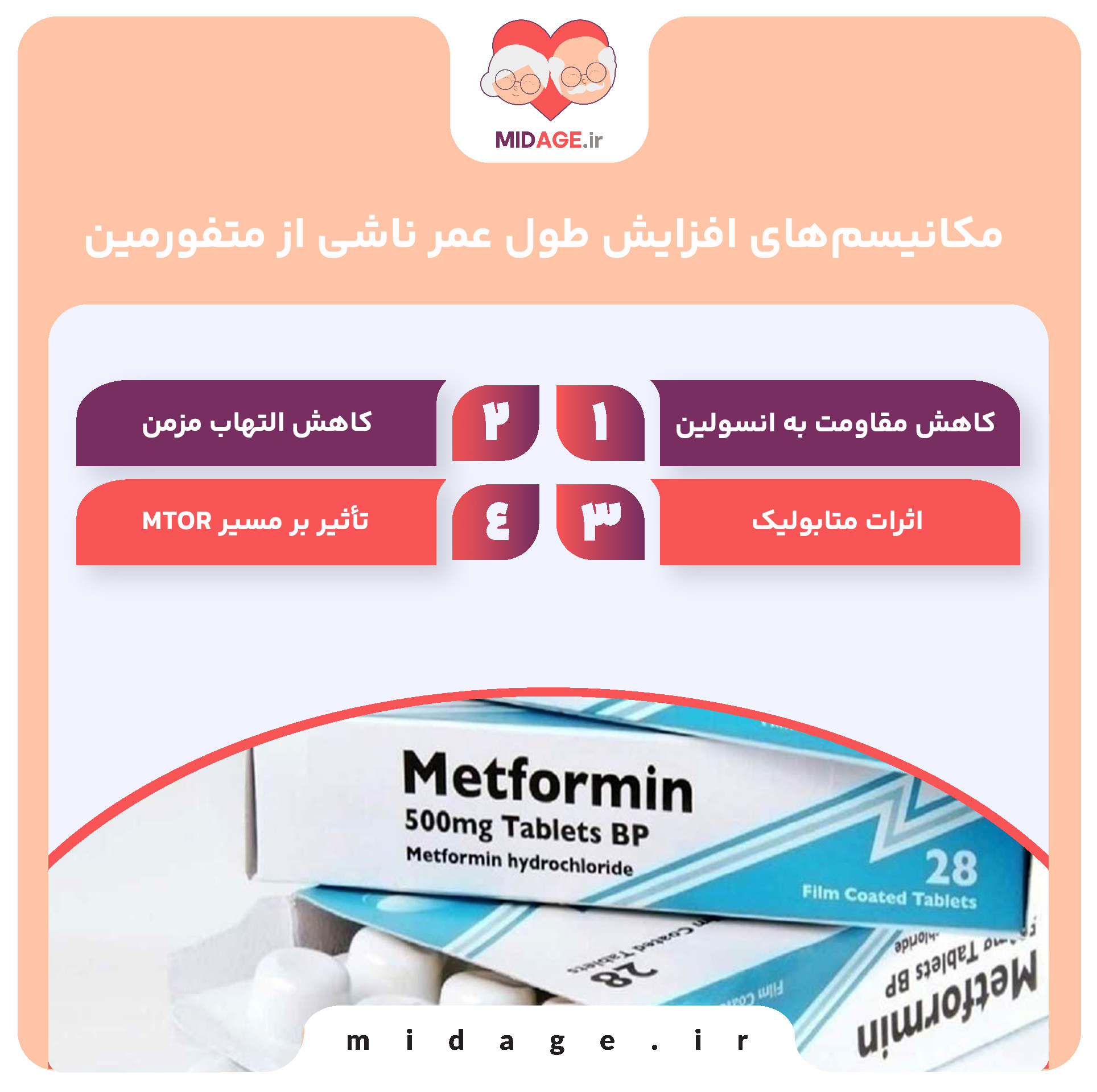 مکانیسم‌های افزایش طول عمر ناشی از متفورمین