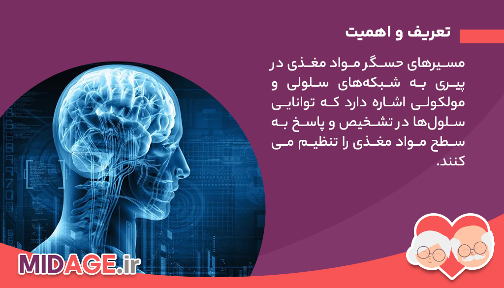 مسیرهای حسگر مواد مغذی در پیری تعریف و اهمیت