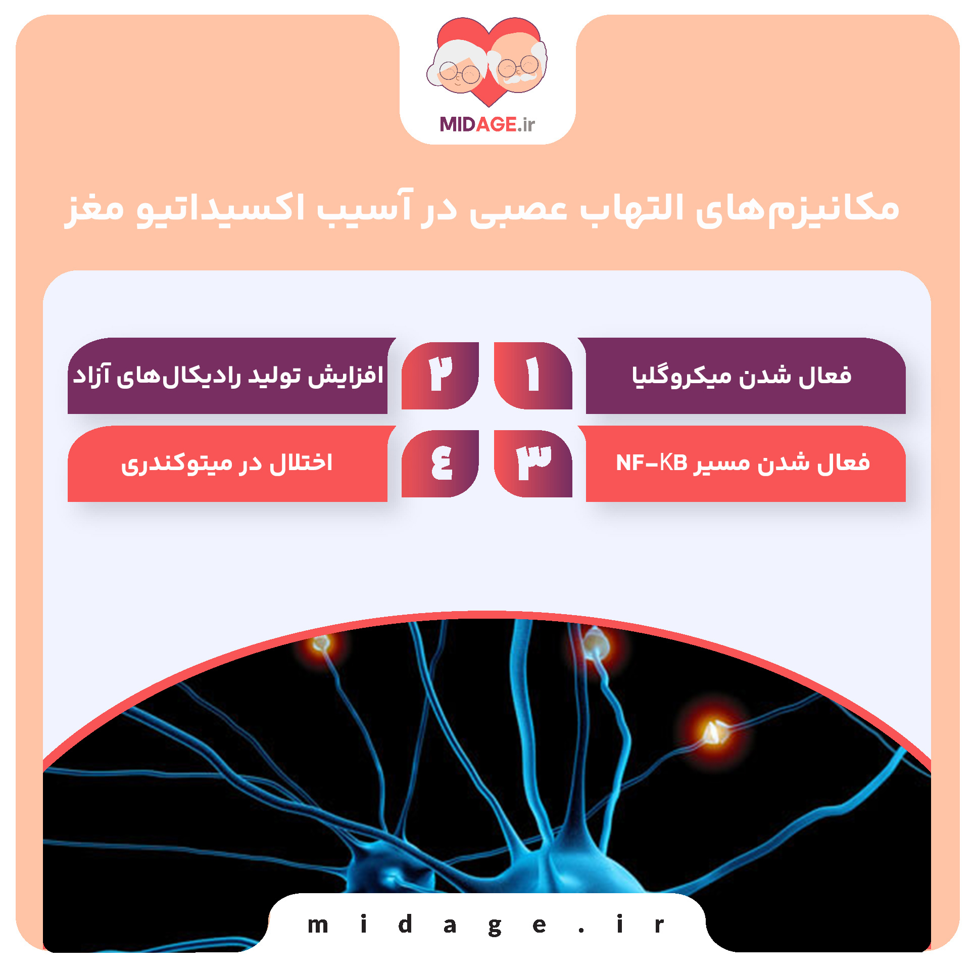 مکانیزم‌های التهاب عصبی در آسیب اکسیداتیو مغز