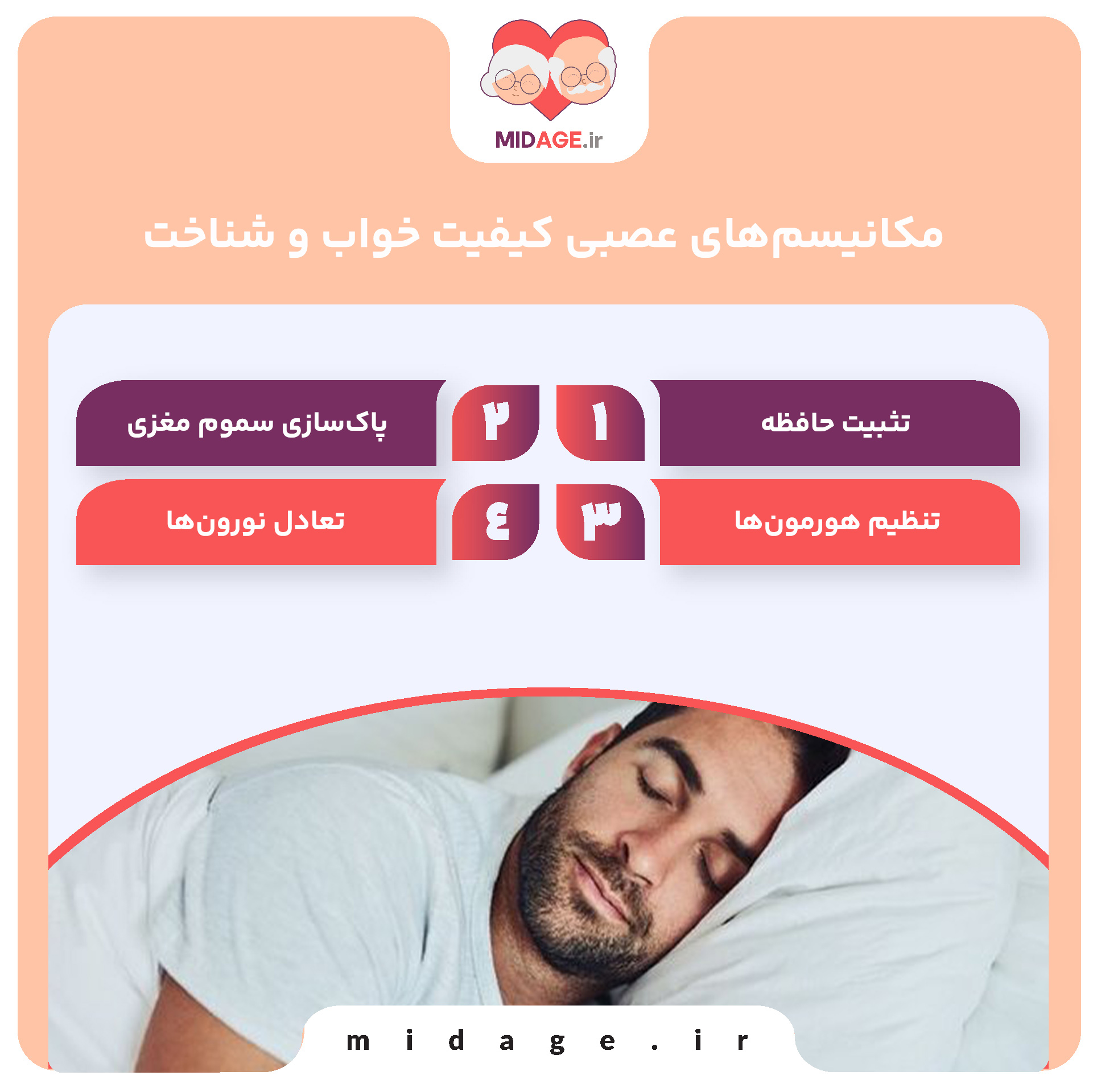 مکانیسم‌های عصبی کیفیت خواب و شناخت